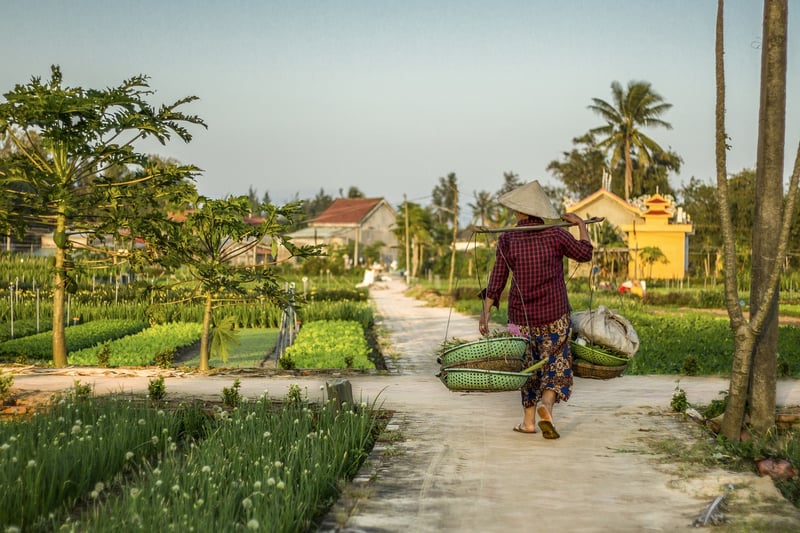 Local Gardens